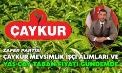 ÇAYKUR Mevsimlik İşçi Alımları ve Yaş Çay Taban Fiyatı Gündemde