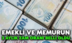 Emekli ve Memurun 3 Aylık Zam Oranı Belli Oldu