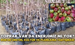 Toprak Var da Enerjimiz Mi Yok? Rize’de Üretim, Kültür ve Planlama Tartışması