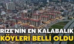 Rize'nin En Kalabalık Köyleri Belli Oldu