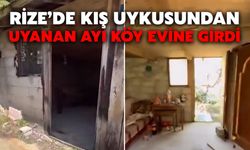 Rize’de Kış Uykusundan Uyanan Ayı Köy Evine Girdi