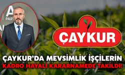 ÇAYKUR’da Mevsimlik İşçilerin Kadro Hayali Kararnamede Takıldı!