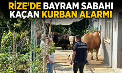 Rize’de Bayram Sabahı Kaçan Kurban Alarmı