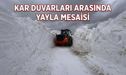 Kar Duvarları Arasında Yayla Mesaisi