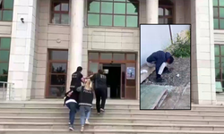 Sokak Ortasında Dehşet: “Zombiye Dönüştürerek Zehirlediler
