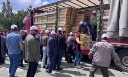 Erzincan'da 220 üreticiye 779 bin 520 sebze fidesi dağıtıldı