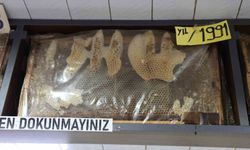 Görenler Dönüp Bir Daha Bakıyor