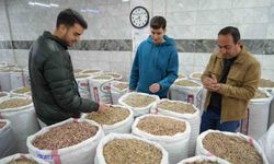 İran-ABD ve İsrail Savaşı Antep Fıstığı Satışını Durdurdu