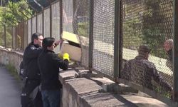 Maltepe'de Ormanda Erkek Cesedi Bulundu