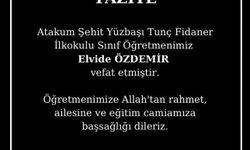 Ekmek Yüklü Tır Şarampole Devrildi