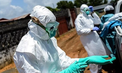 DSÖ’den Ebola salgını için 'yüksek risk' uyarısı