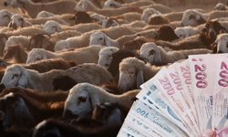 Emekli Bayram İkramiyesi Ödemeleri Ne Zaman Ödenecek?