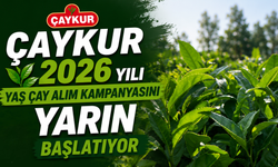 ÇAYKUR 2026 Yılı Yaş Çay Alım Kampanyasını Başlatıyor