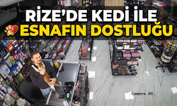 Rize’de Kedi ile Esnafın İç Isıtan Dostluğu