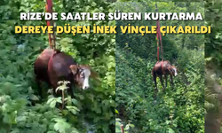 Rize’de Saatler Süren Kurtarma: Dereye Düşen İnek Vinçle Çıkarıldı