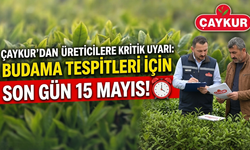 ÇAYKUR'dan Üreticilere Uyarı: Budama Tespitleri İçin Son Gün 15 Mayıs