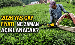 2026 Yaş Çay Fiyatı Ne Zaman Açıklanacak?