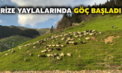 Rize Yaylalarında Göç Başladı