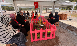 Okul Saldırısında Hayatını Kaybeden Almina'nın Mezarı Pembeye Boyandı