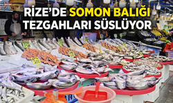 Rize’de Somon Balığı Tezgahları Süslüyor