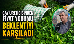 Açıklanan Yaş Çay Taban Fiyatı Rizelileri Sevindirdi