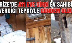 Rize’de Ayı Eve Girdi, Ev Sahibi Verdiği Tepkiyle Gündem Oldu