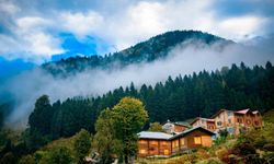 Rize Yaylalarına Yakın Yaşam Neden Daha Cazip Hale Geldi?