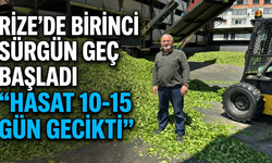 Rize’de Birinci Sürgün Geç Başladı: “Hasat 10-15 Gün Gecikti
