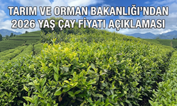 Tarım ve Orman Bakanlığı’ndan 2026 Yaş Çay Fiyatı Açıklaması