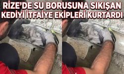 Rize'de Su Borusuna Sıkışan Kediyi İtfaiye Ekipleri Kurtardı