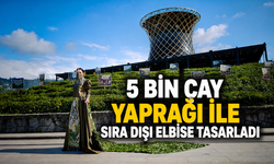 5 Bin Çay Yaprağı İle Sıra Dışı Elbise Tasarladı