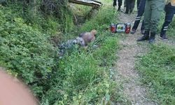 Eşekten düşen yaşlı adam hayatını kaybetti