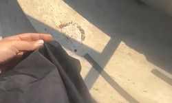 Havuzda Tesettür Mayo Yasağında Site Görevlisi Tutuklandı