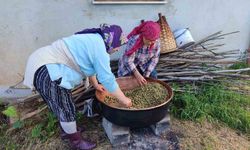 Karadeniz'de Dut Pekmezi Mesaisi Başladı