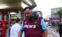 Kayıp Kedi 'Tom' 4 Gün Sonra Bulundu