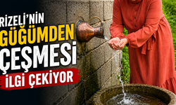 Rizeli'nin Güğümden Çeşmesi İlgi Çekiyor