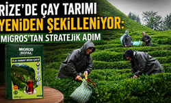 Rize'de Çay Tarımı Yeniden Şekilleniyor: Migros'tan Stratejik Adım