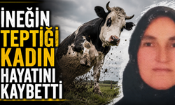 İneğin Teptiği Kadın Hayatını Kaybetti