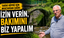 Tarihi Köprü İçin Muhtardan Çağrı: İzin Verin, Bakımını Biz Yapalım