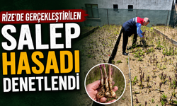 Rize'de Gerçekleştirilen Salep Hasadı Denetlendi