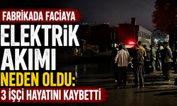 Fabrikada Faciaya Elektrik Akımı Neden Oldu: 3 İşçi Hayatını Kaybetti