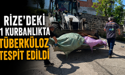 Rize'deki 11 Kurbanlıkta Tüberküloz Tespit Edildi