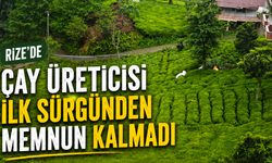 Rize'de Çay Üreticisi İlk Sürgünden Memnun Kalmadı