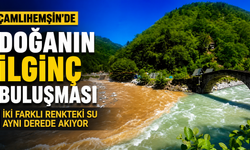 Çamlıhemşin'de Doğanın İlginç Buluşması: İki Farklı Renkteki Su Aynı Derede Akıyor