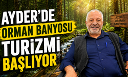 Ayder'de Orman Banyosu Turizmi Başlıyor