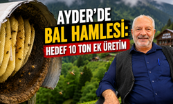 Ayder'de Bal Hamlesi: Hedef 10 Ton Ek Üretim