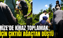 Rize'de Kiraz Toplamak İçin Çıktığı Ağaçtan Düştü