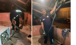 Bulaşık Makinesine Giren 2 Metrelik Karayılanı İtfaiye Çıkardı