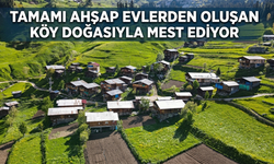 Tamamı Ahşap Evlerden Oluşan Köy Doğasıyla Mest Ediyor