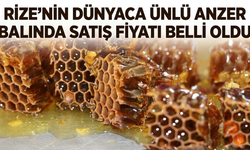 Rize’nin Dünyaca Ünlü Anzer Balında Satış Fiyatı Belli Oldu
